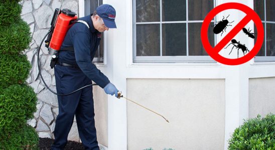 Doğanhisar Akrep İlaçlama böcek ilaçlama ve haşere kontrolü — ilaclama-tr.com